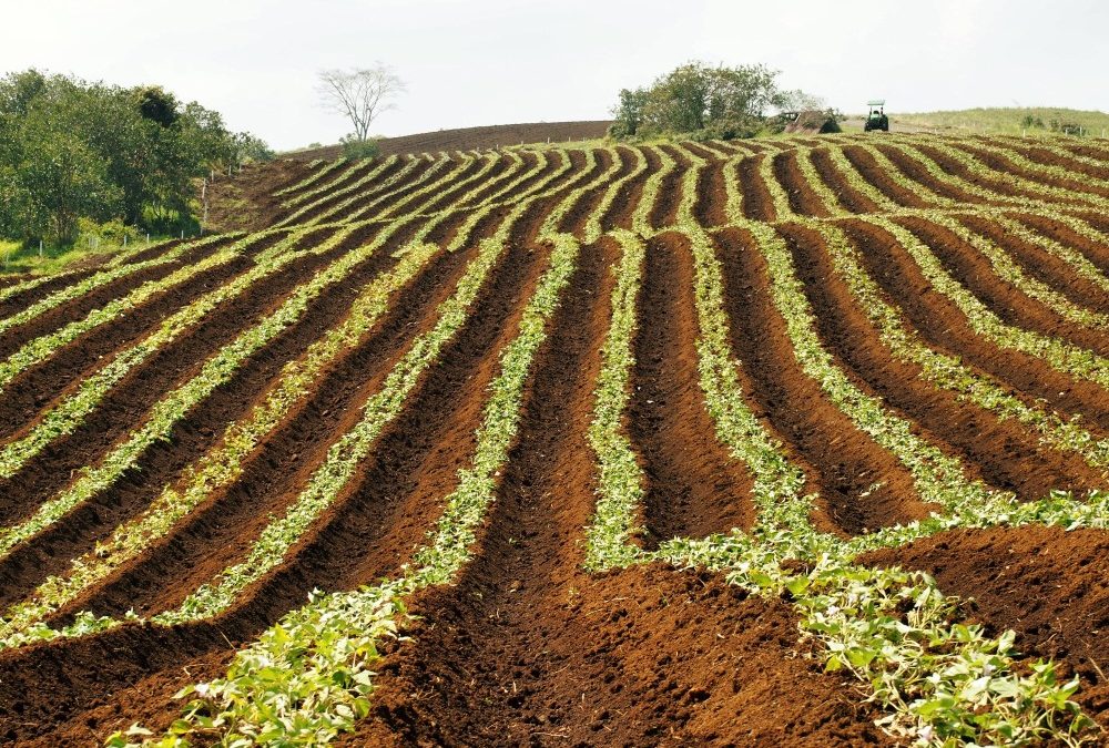 Opter pour une agriculture raisonnée et durable